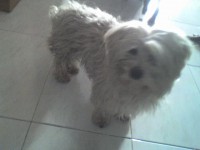 /album/associane-amici-miei/f84784631-jpg/