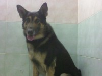 /album/associane-amici-miei/f92436591-jpg/